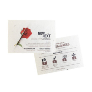 Carte ensemencée biodégradable 250 g