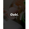 Gobi